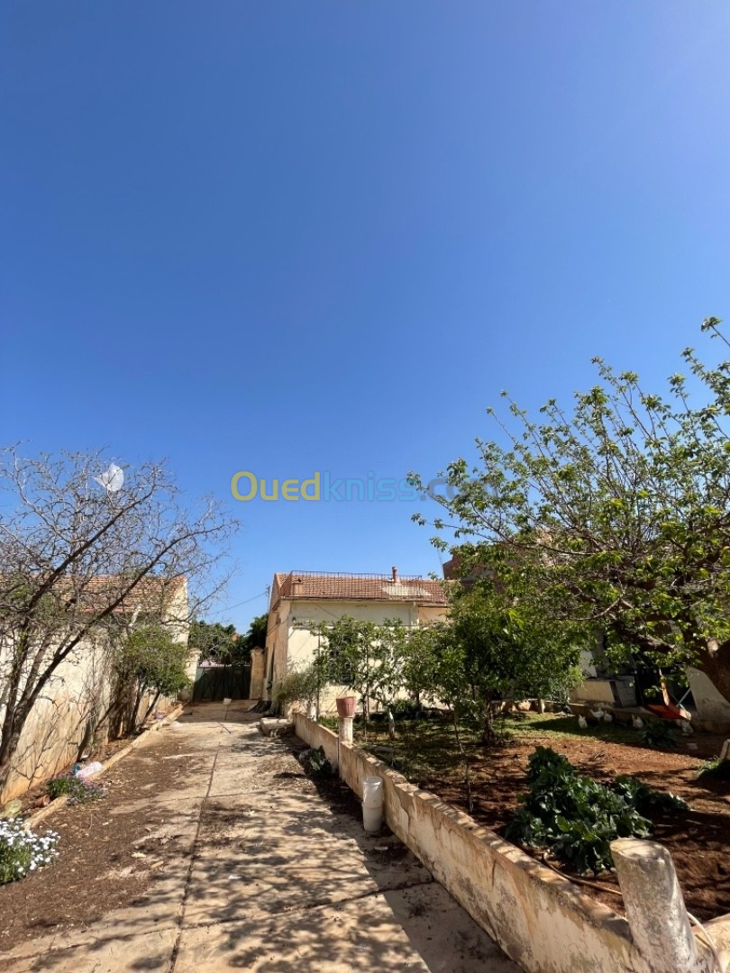 Vente Villa Aïn Témouchent Chaabet el ham