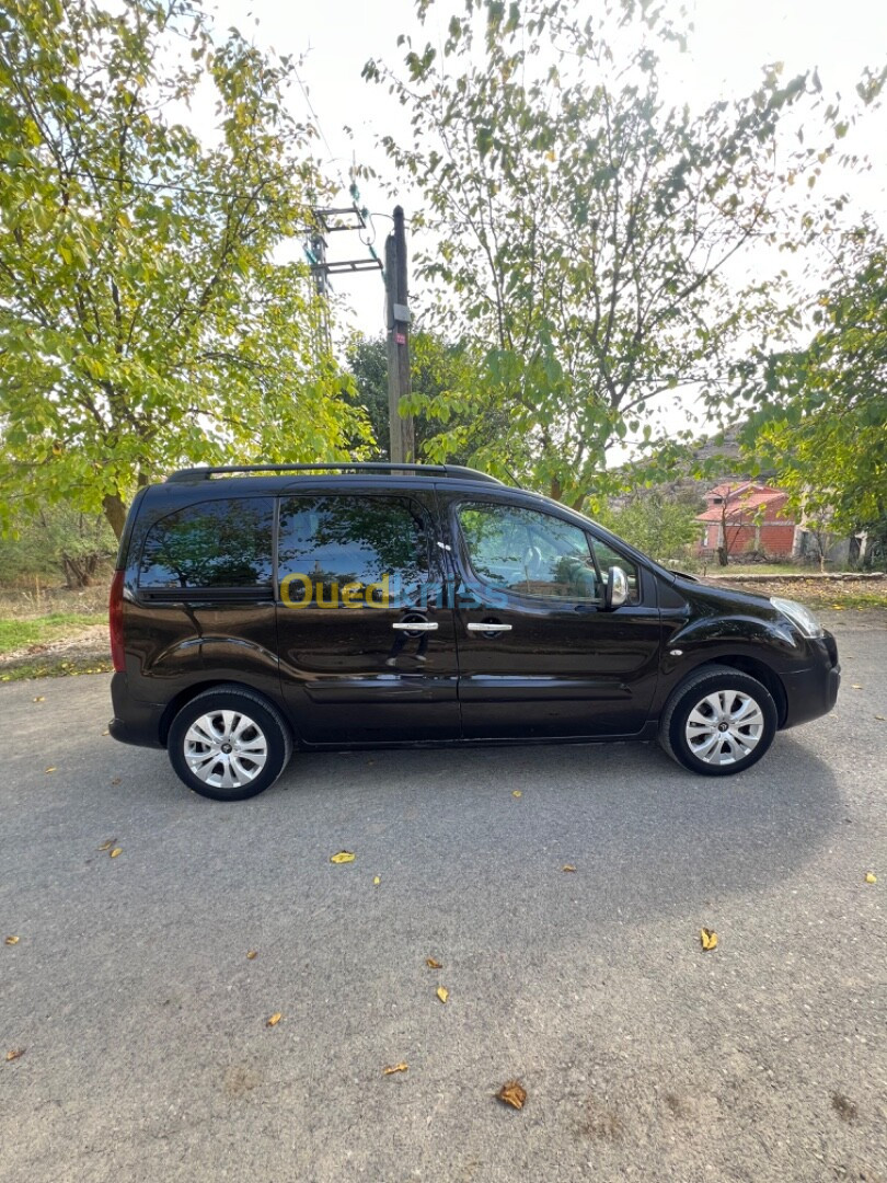 Citroen Berlingo Multispace 2015 Berlingo Multispace