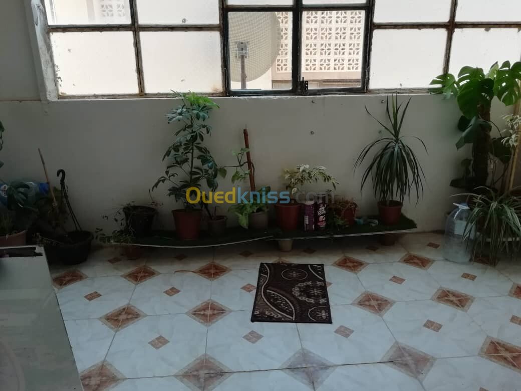 Vente Appartement F3 Djelfa Djelfa