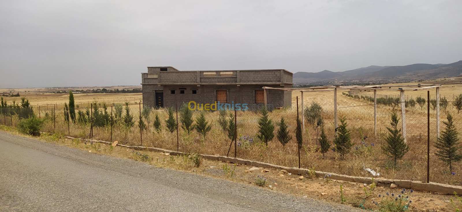 Vente Terrain Agricole Médéa El guelbelkebir