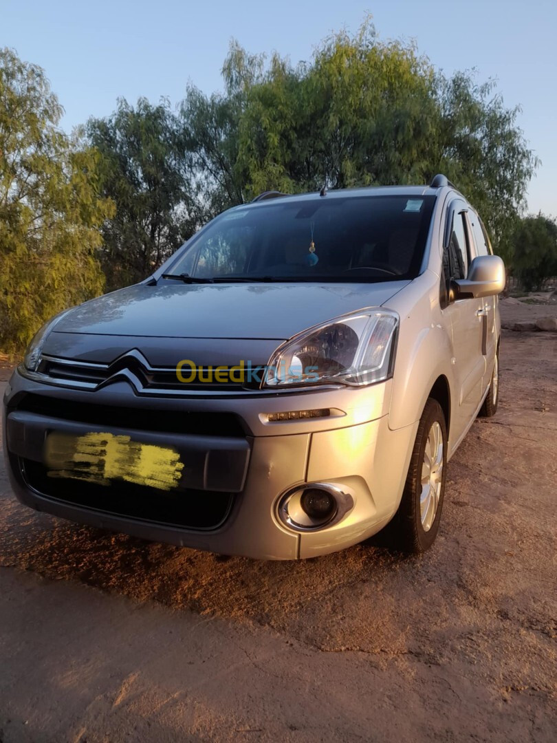 Citroen Berlingo 2015 Berlingo