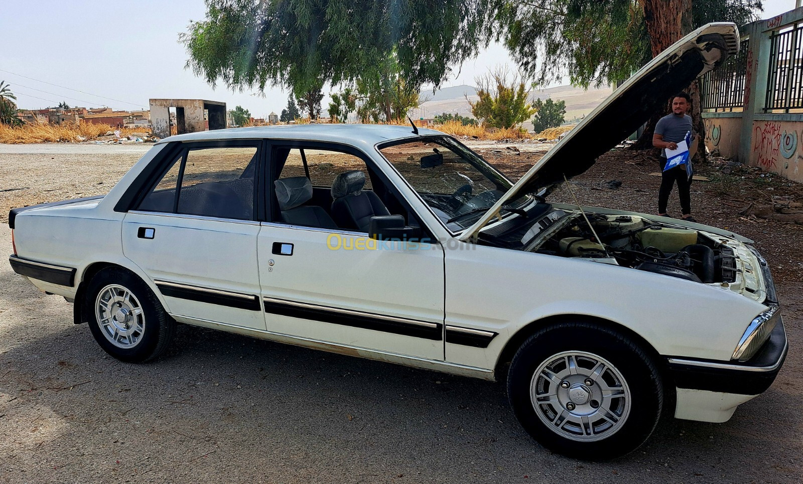 Peugeot 505 1987 505