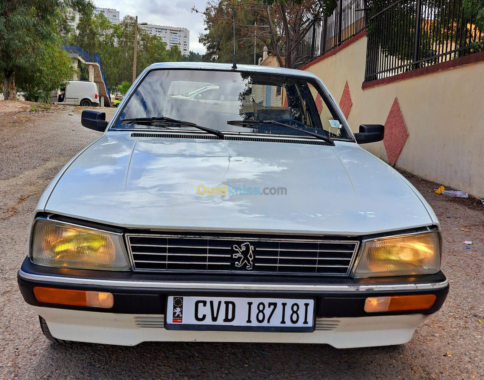 Peugeot 505 1987 505