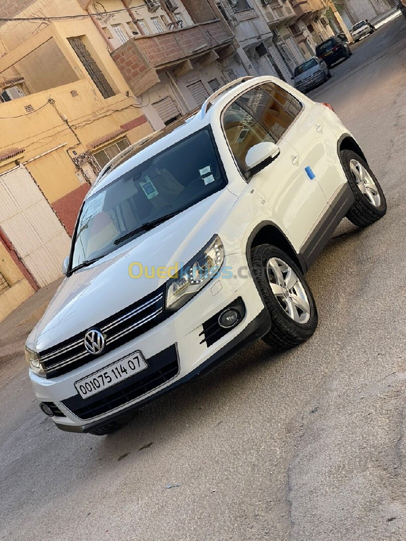 Volkswagen Tiguan 2014 Cup