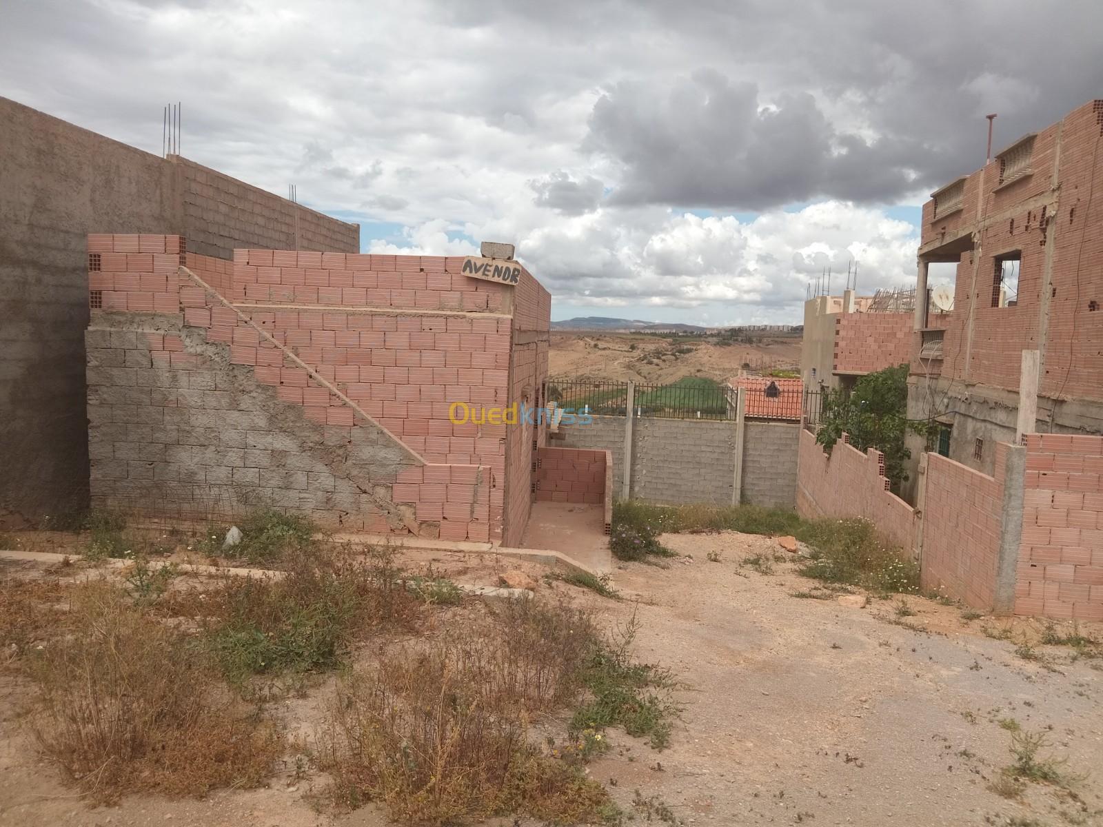 Vente Terrain Tlemcen Zenata