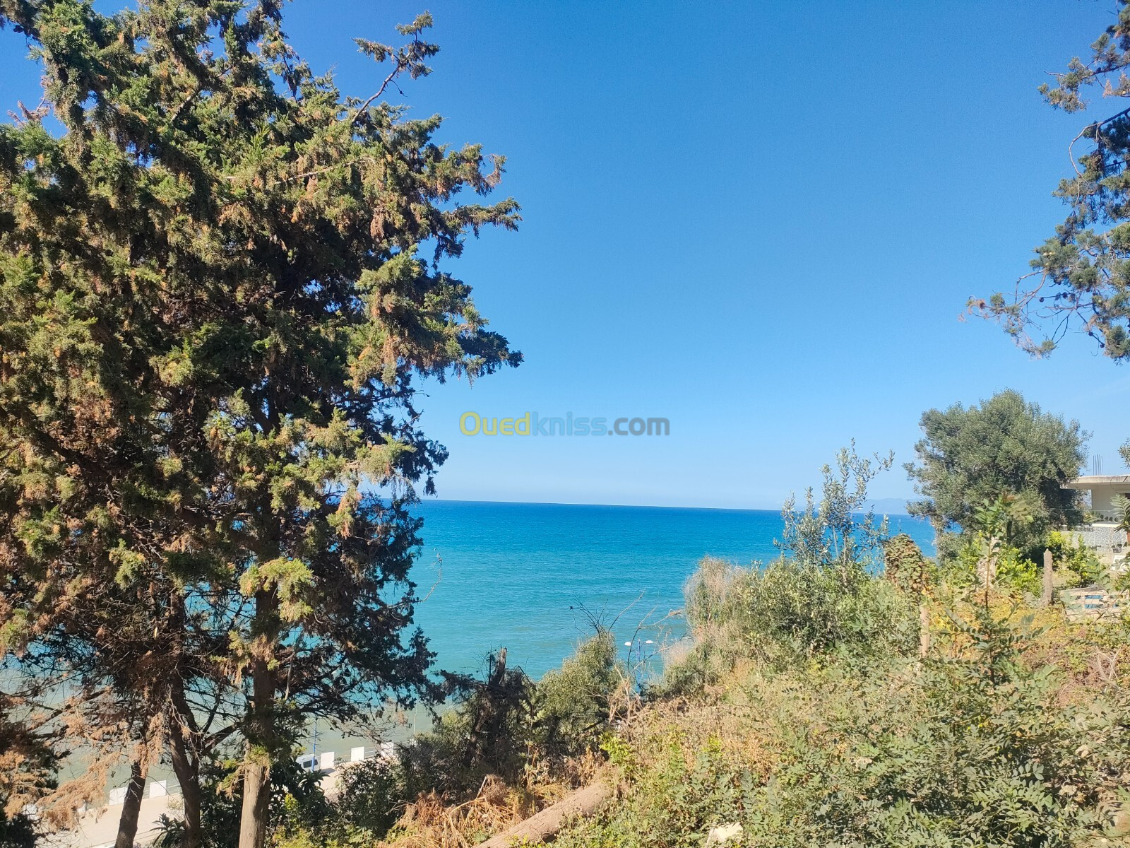 Vente Terrain Béjaïa Tichy