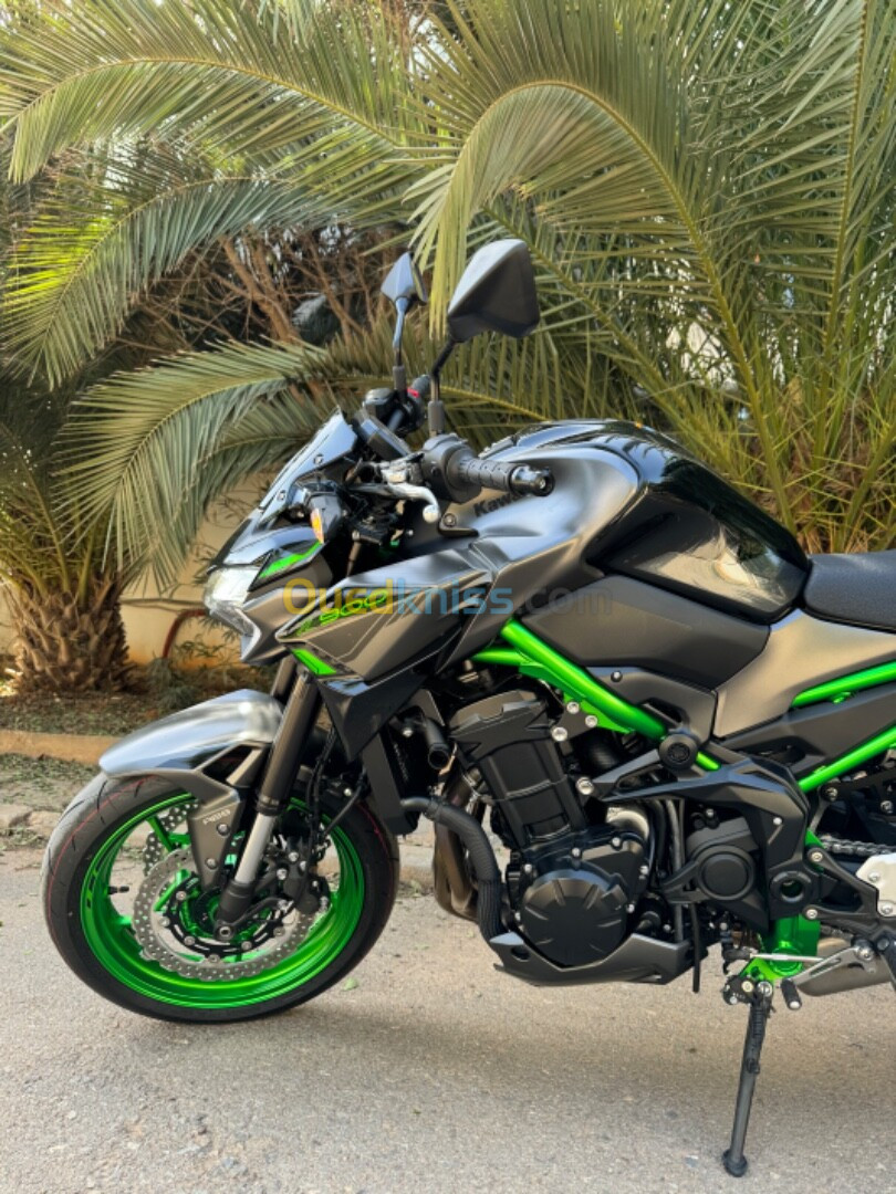 Kawasaki Z900 2024