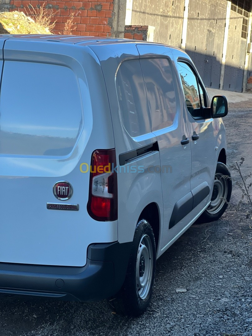 Fiat Doblo 2023 Professional