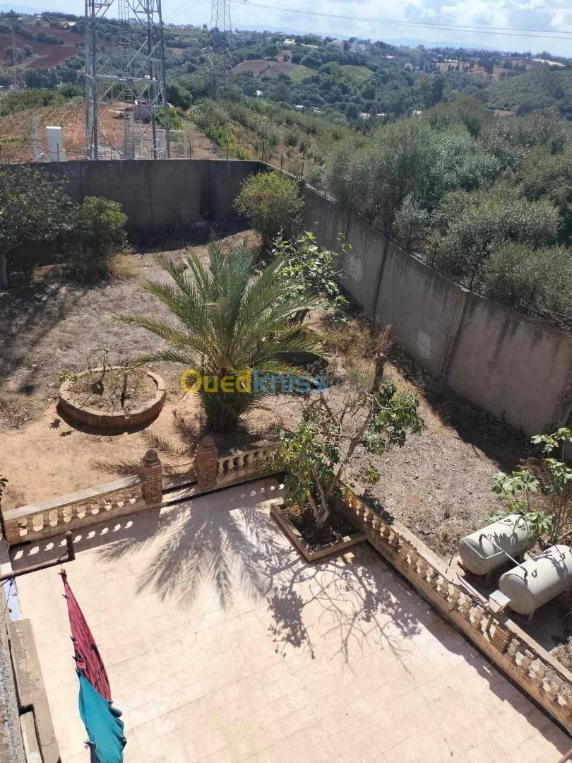 Vente Terrain Alger Draria