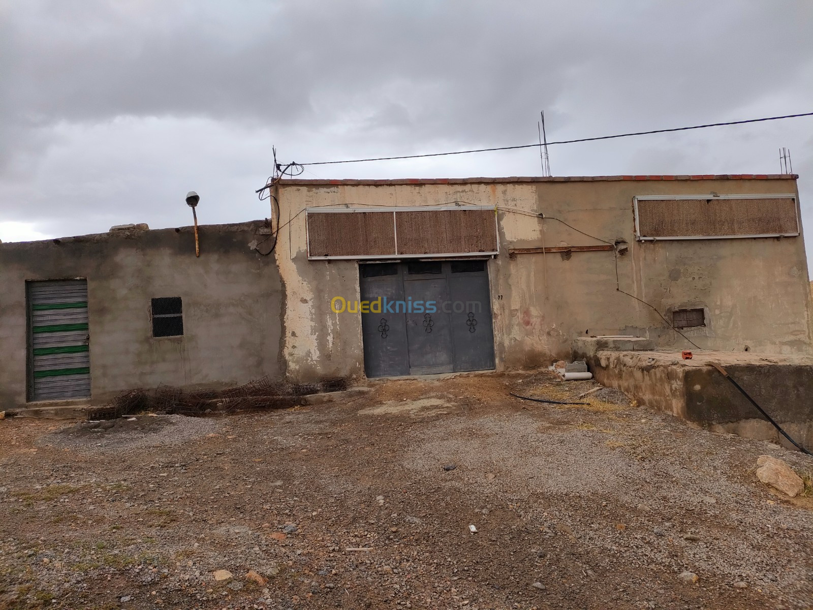 Location Hangar Setif Ksar el abtal