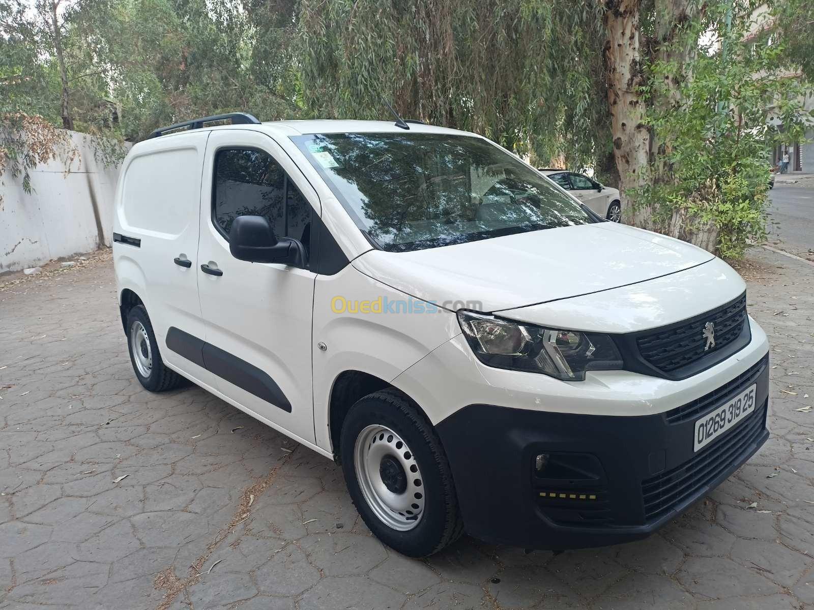 Peugeot Partner 2019 Partner