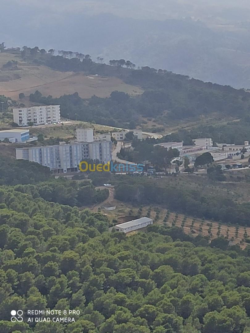 Vente Appartement F3 Chlef Oued goussine