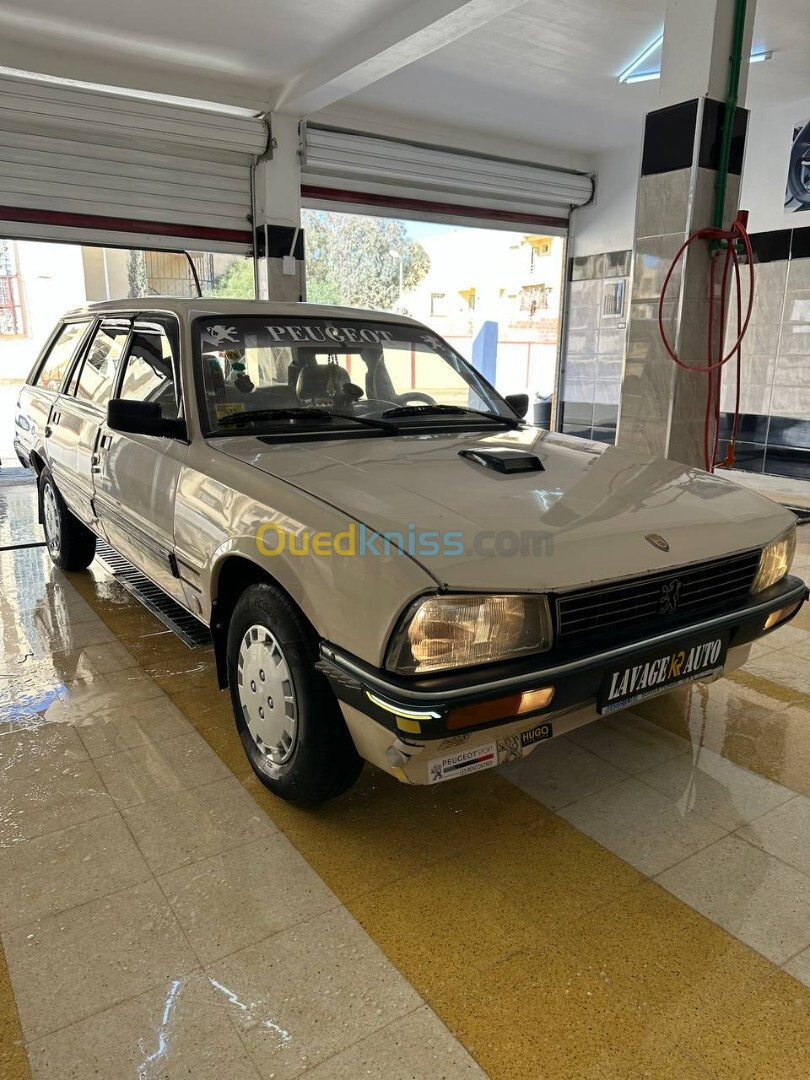 Peugeot 505 1991 505