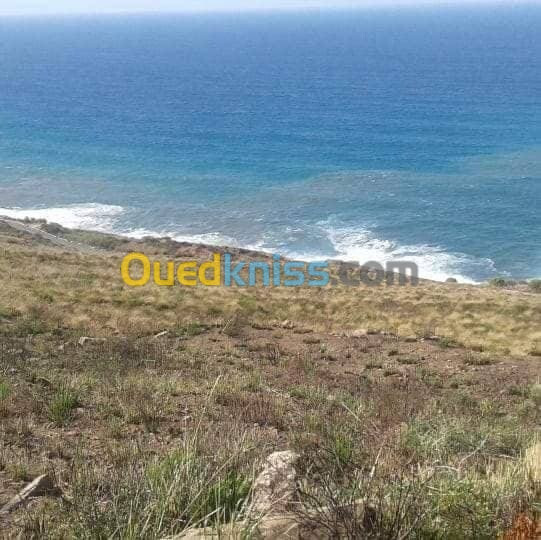 Vente Terrain Tizi Ouzou Azeffoun