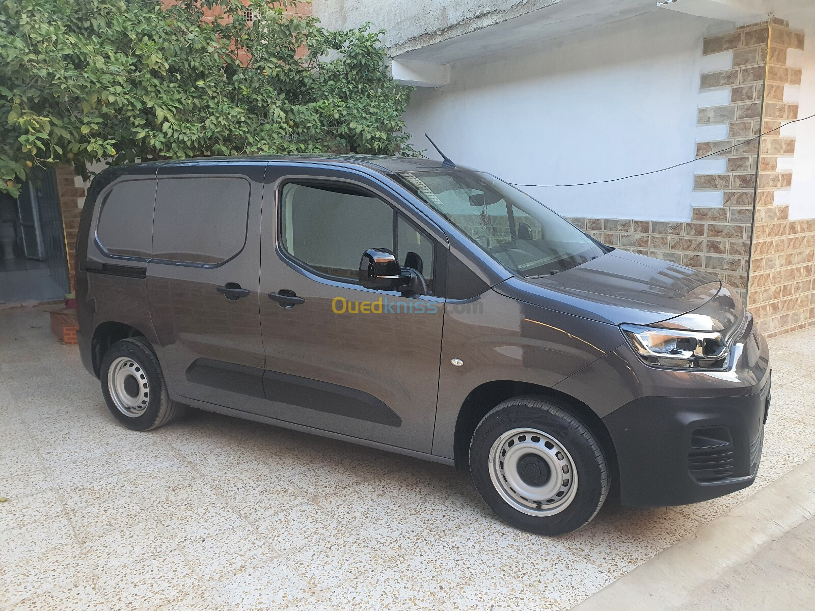 Fiat Doblo 2024 Profissional