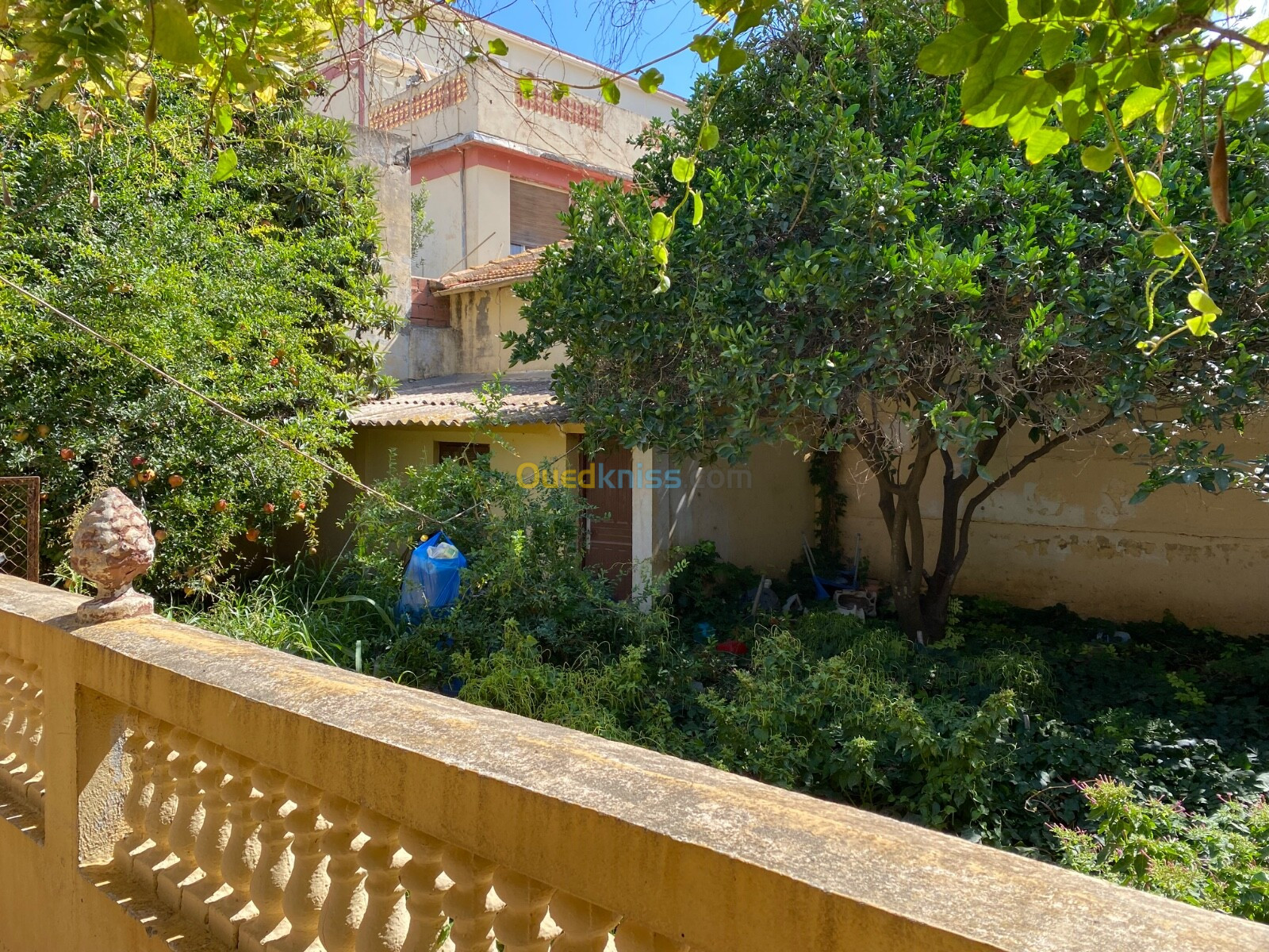 Vente Villa Tipaza Cherchell