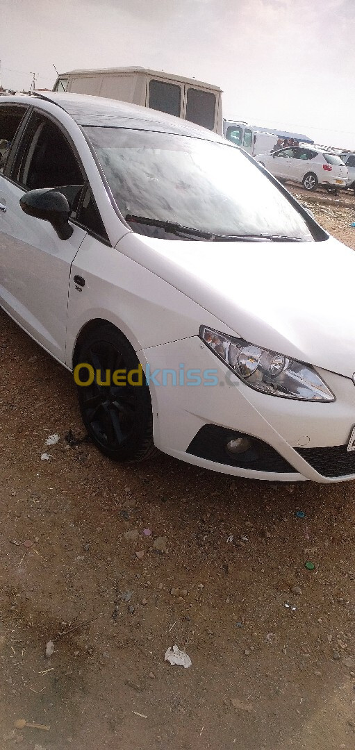 Seat Ibiza 2011 Loca