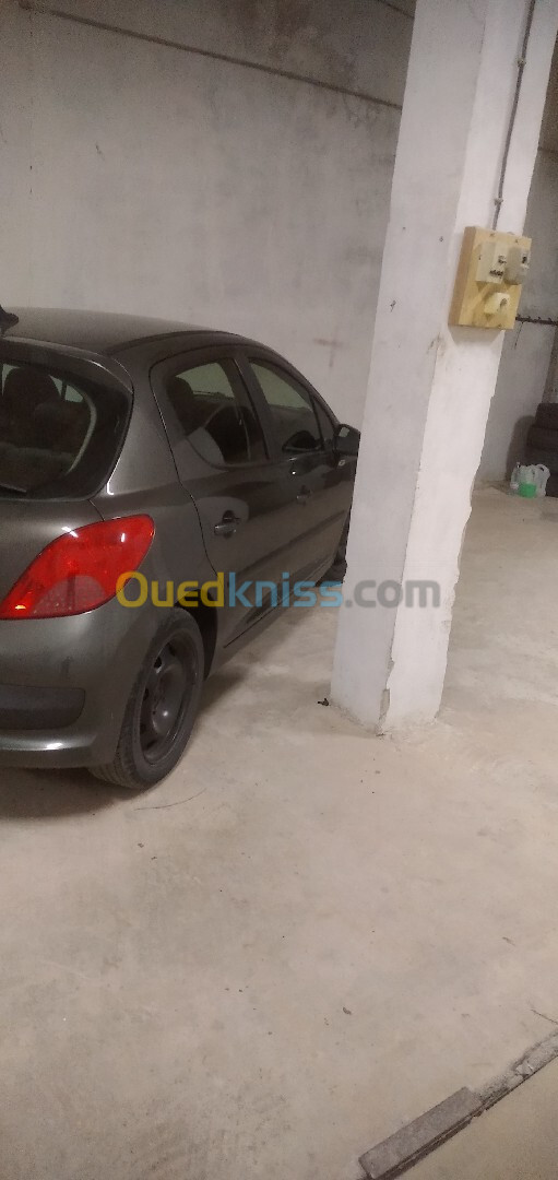 Peugeot 207 2008 207