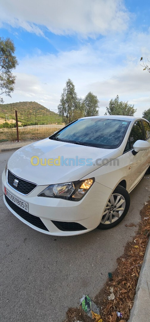 Seat Ibiza 2018 Sol