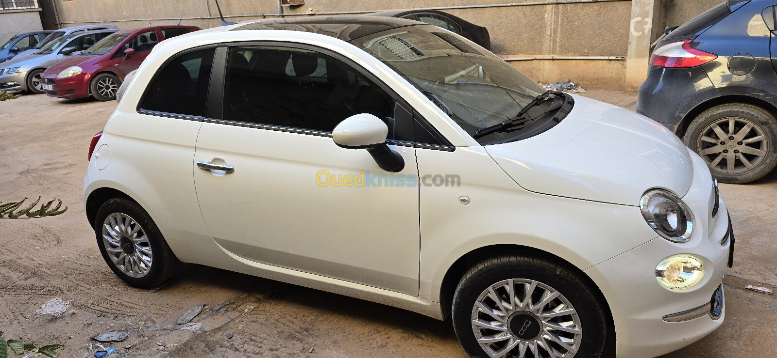 Fiat 500 2024 Club talyani