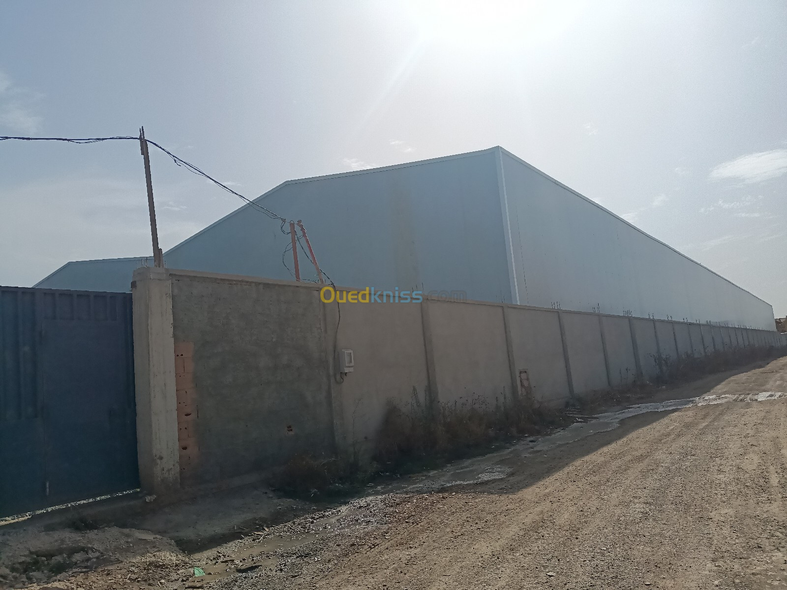 Location Hangar Blida Sidi moussa