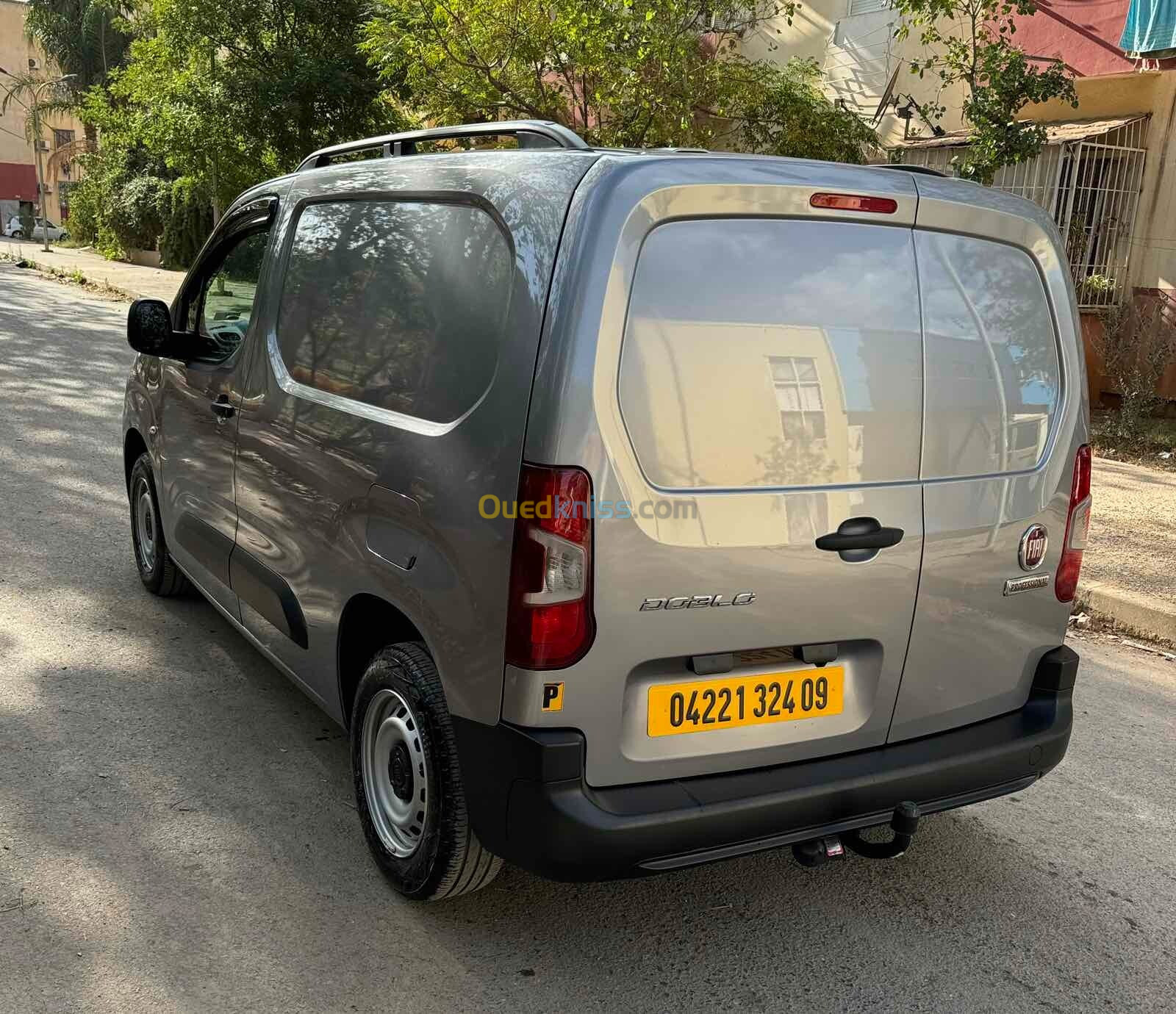 Fiat Doblo 2024 Professional