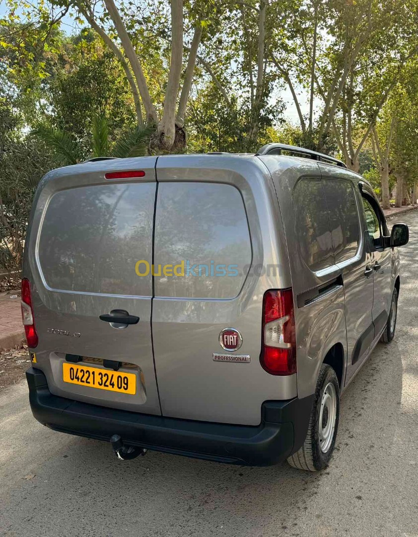 Fiat Doblo 2024 Professional