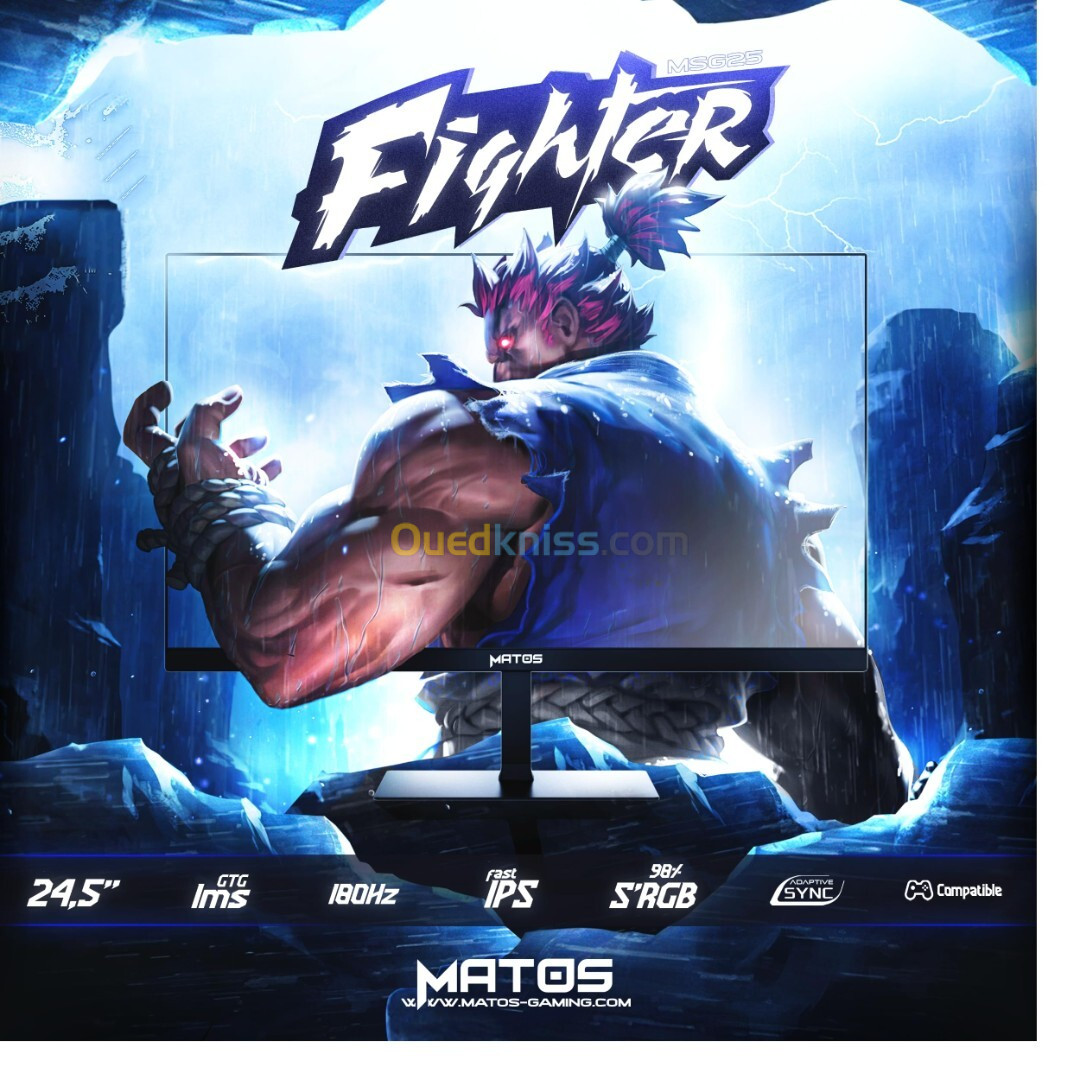 ECRAN MATOS FIGHTER MSG25 180HZ 1MS 24.5 POUCE 