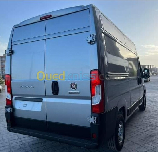 Fiat Ducato 2024 L2H2