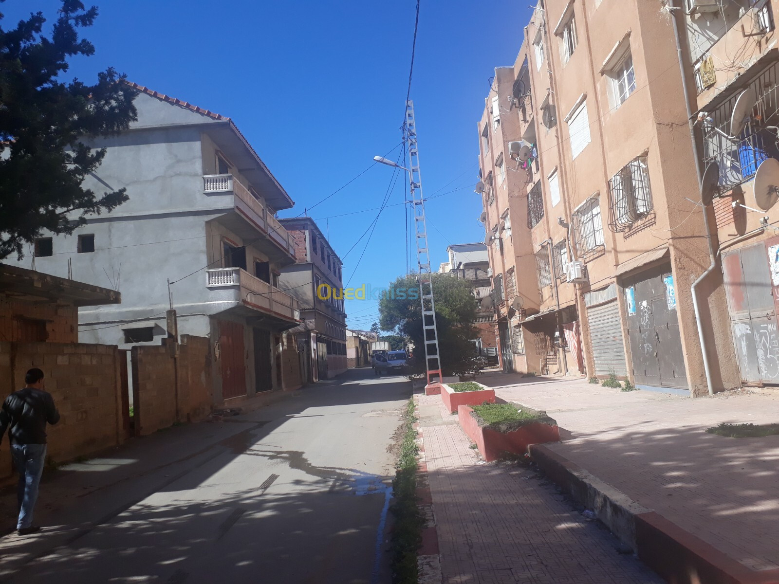 Vente Appartement F1 Tipaza Khemisti