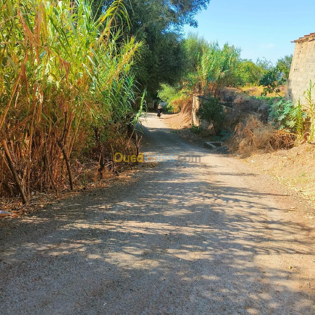 Vente Terrain Tizi Ouzou Sidi naamane