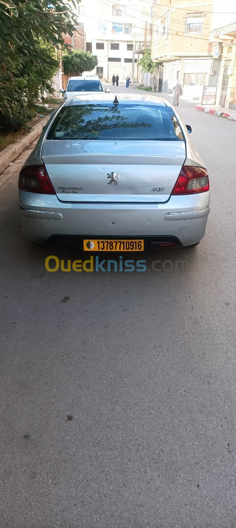 Peugeot 407 2009 407