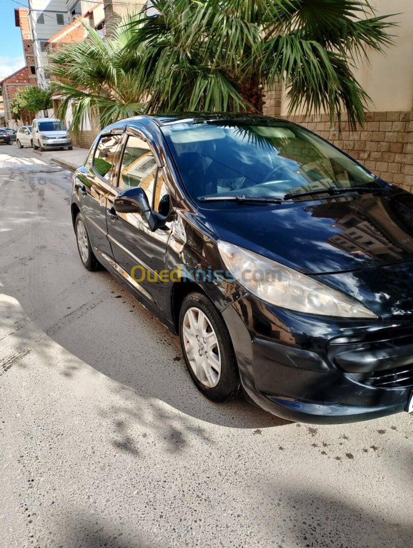 Peugeot 207 2008 207