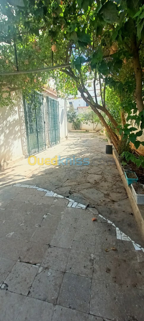 Location Niveau De Villa F4 Alger Birkhadem