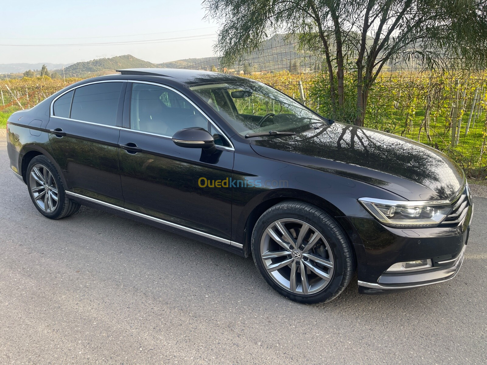 Volkswagen Passat 2019 Carat