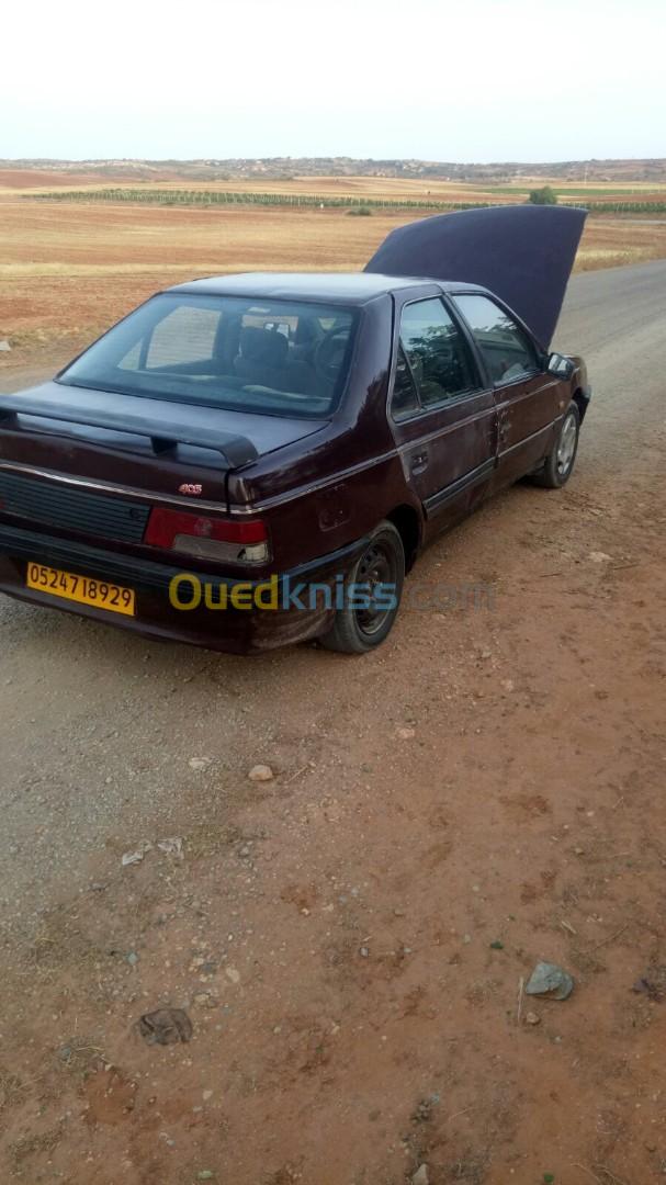 Peugeot 405 1989 405