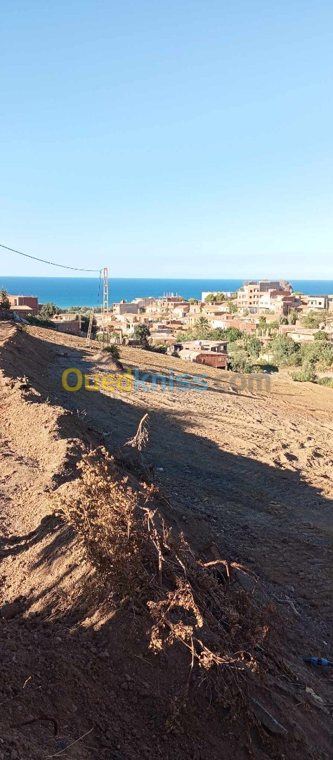 Vente Terrain Tipaza Sidi ghiles