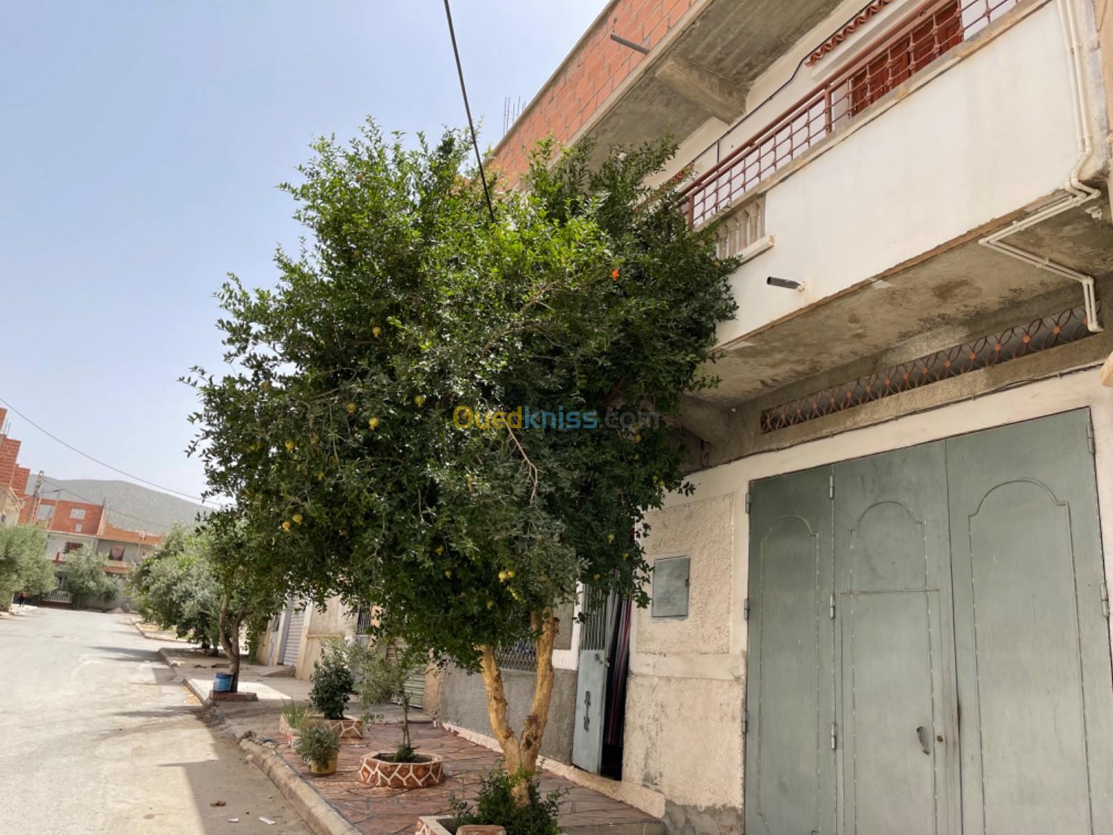 Vente bien immobilier Batna El madher