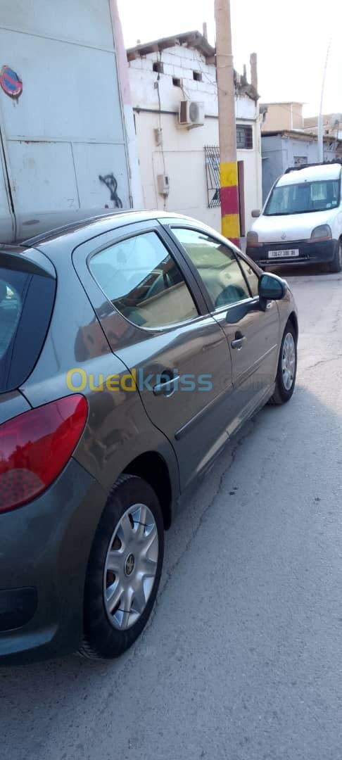 Peugeot 207 2008 207