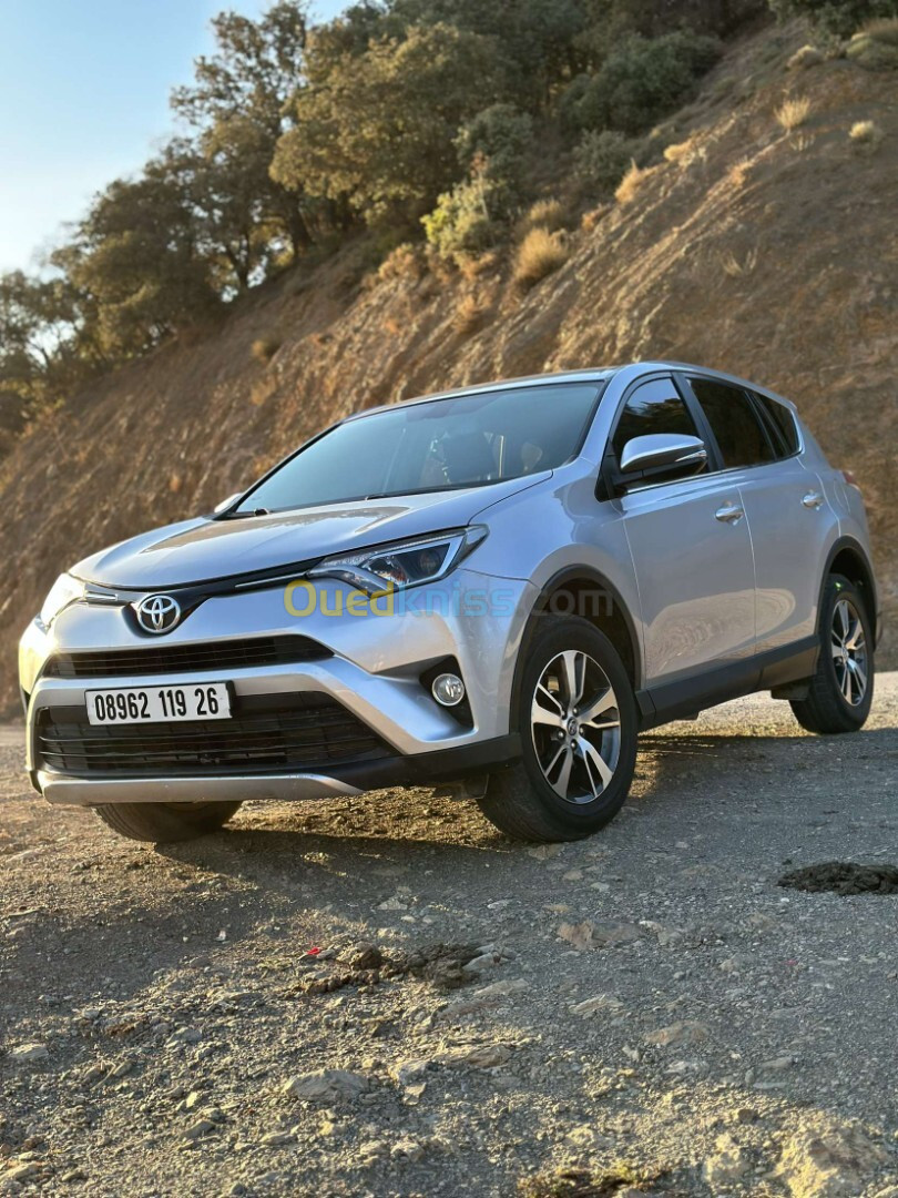 Toyota RAV4 2019 RAV4