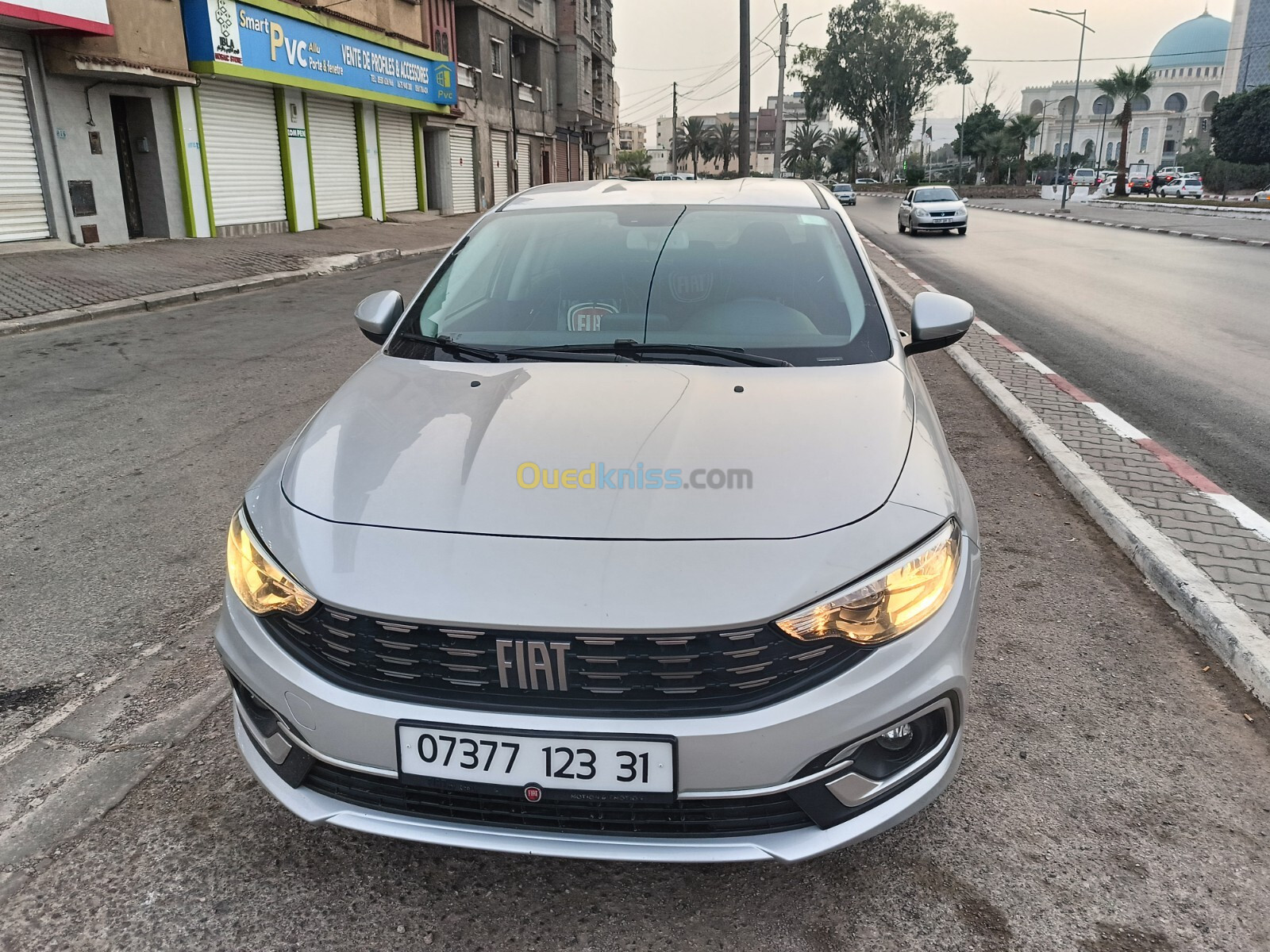 Fiat Tipo 2023 Live