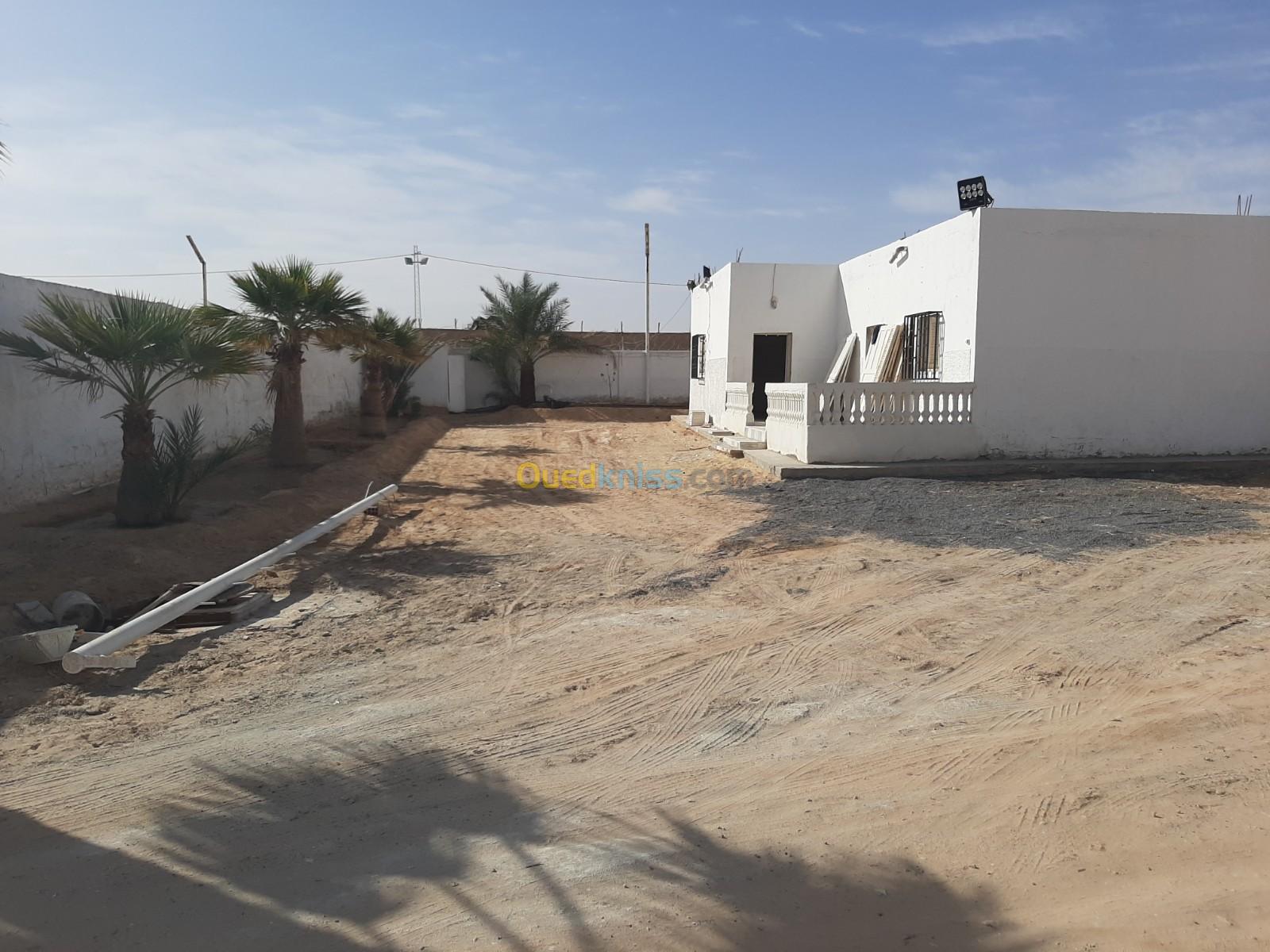 Vente Terrain Ouargla Touggourt