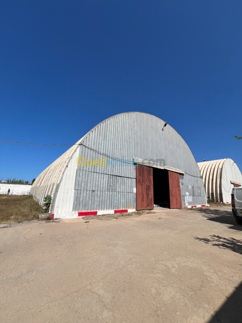 Location Hangar Boumerdès Corso