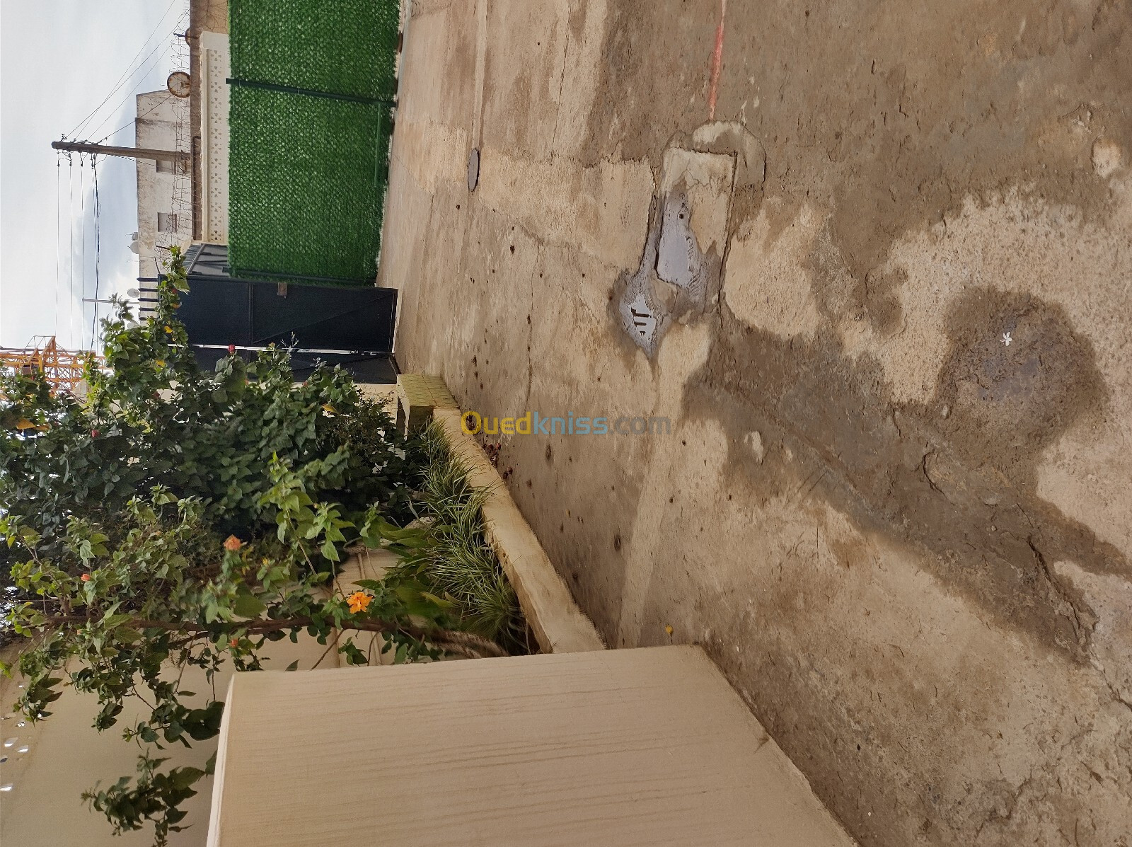 Location Appartement F2 Alger Said hamdine