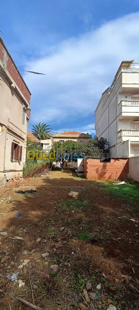 Vente Villa Alger Ben aknoun