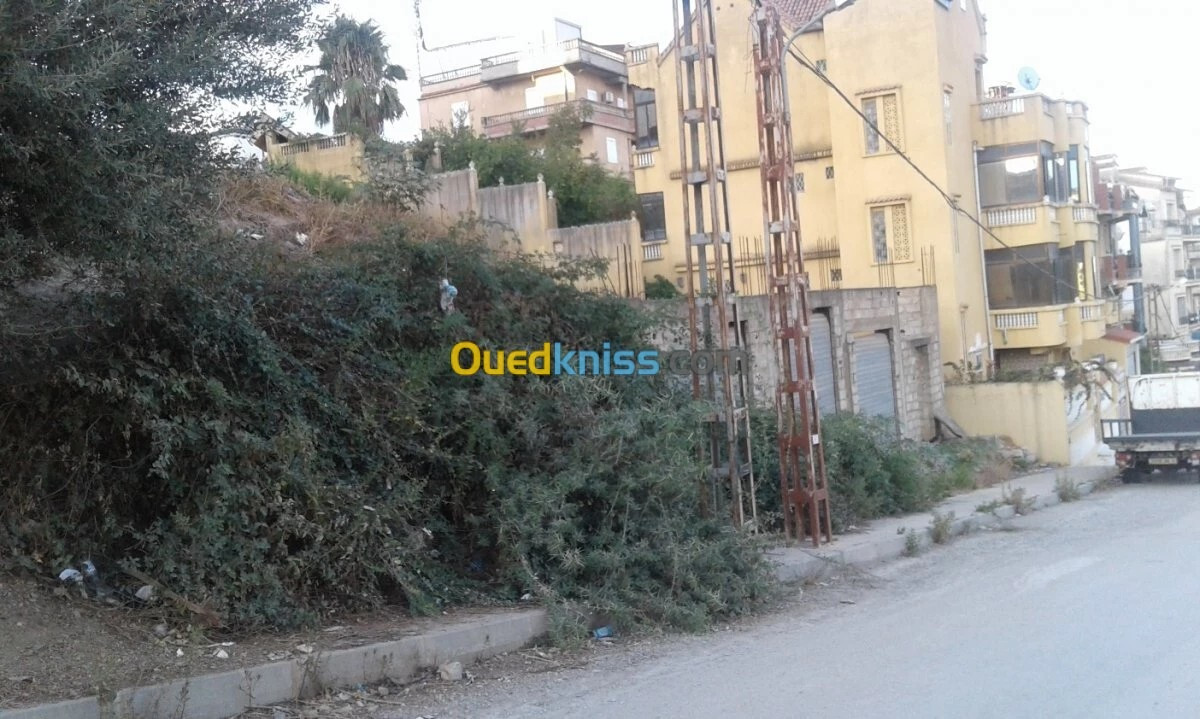 Vente Terrain Skikda Skikda