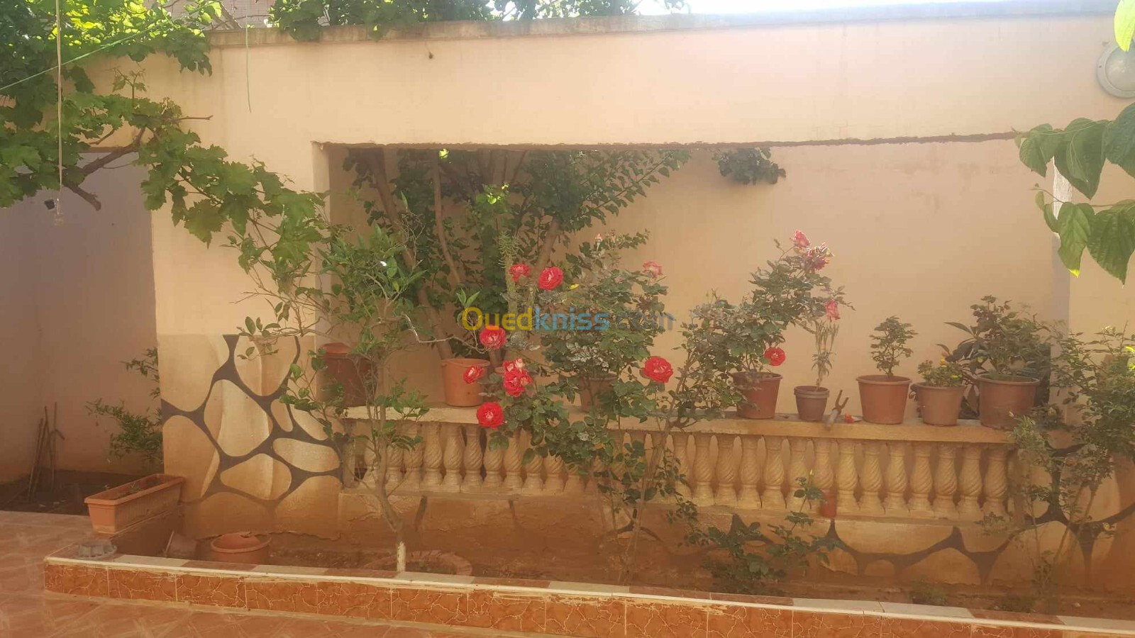 Vente Villa Oran Bethioua