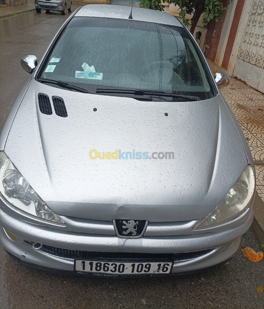 Peugeot 206 Sedan 2009 206 Sedan