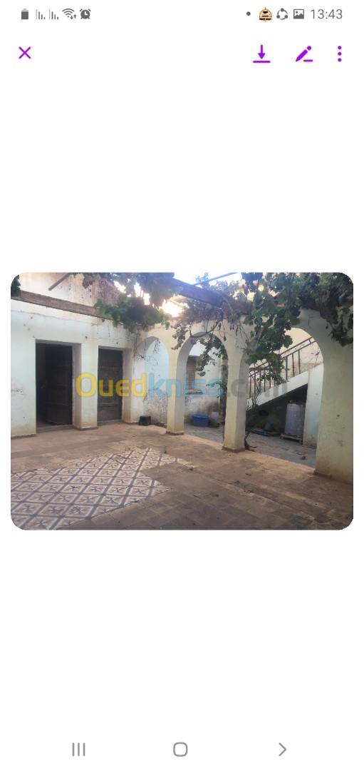 Vente Villa Sidi bel abbes Sidi brahim