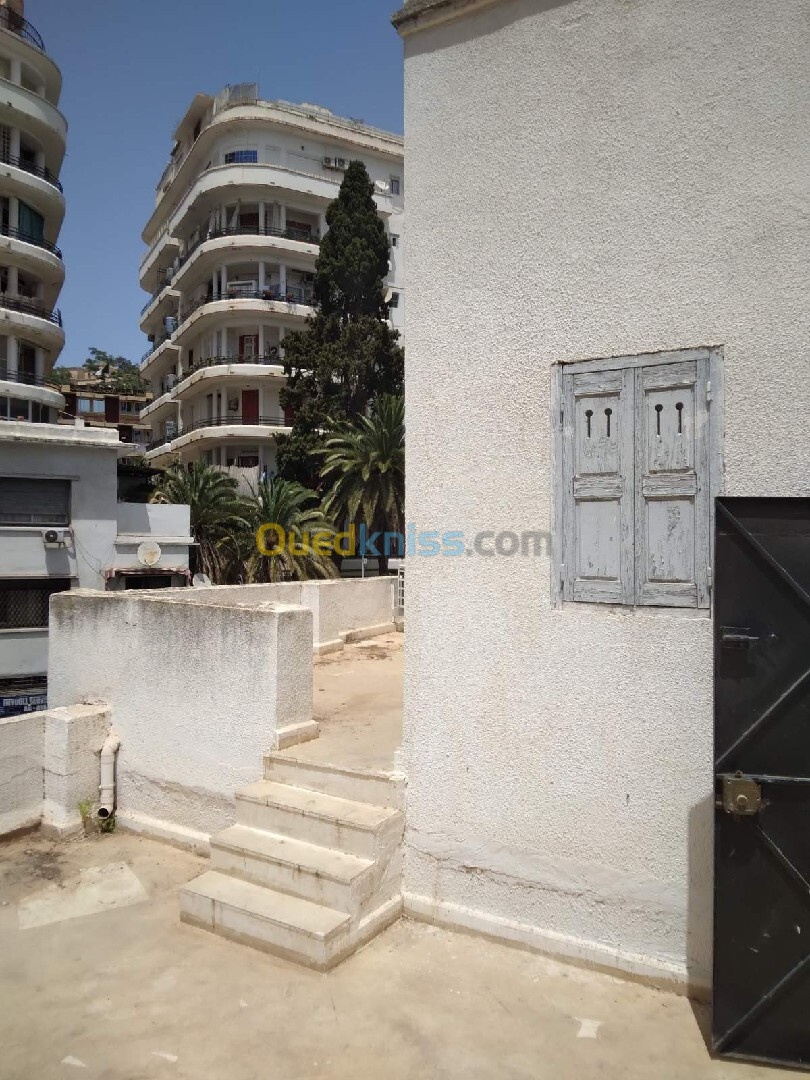 Location bien immobilier Alger Alger centre